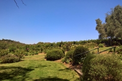 WP_20170125_13_37_19_Pro