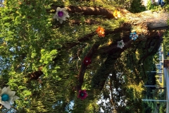 K1024_WP_20161114_17_41_20_Pro