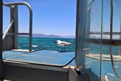 K1024_WP_20161115_11_43_09_Pro