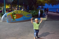 WP_20161113_18_44_59_Pro