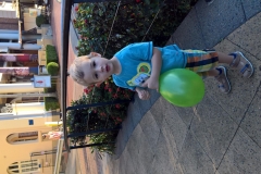 WP_20161114_17_44_38_Pro