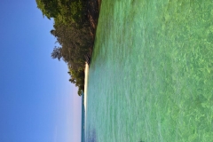 WP_20161115_11_26_17_Pro