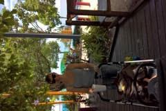 WP_20161116_11_24_07_Pro