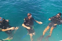 WP_20161125_13_44_43_Rich