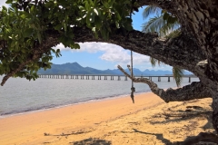 WP_20161126_10_36_03_Rich