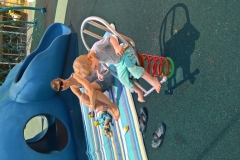 WP_20161126_10_44_05_Rich