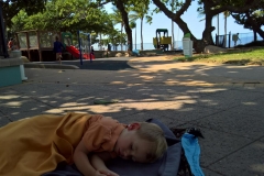 WP_20161127_14_37_30_Rich