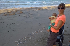 WP_20161129_17_09_14_Pro