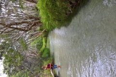 WP_20161210_11_19_04_Pro