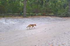 WP_20161210_12_59_03_Pro