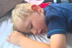 WP_20161211_14_58_19_Pro (3)