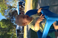 WP_20161214_15_45_07_Pro