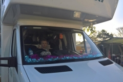 WP_20161214_16_28_34_Pro