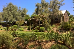 WP_20170125_13_37_16_Pro