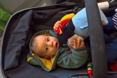 WP_20161110_09_39_00_Pro