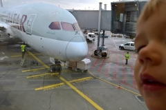 WP_20161110_09_39_56_Pro