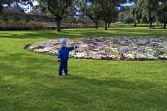 WP_20161112_17_30_58_Pro