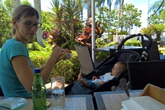 WP_20161113_13_10_28_Pro