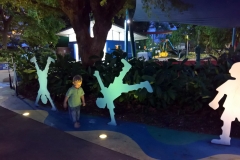 WP_20161113_18_44_22_Pro