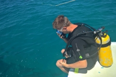 K1024_WP_20161125_13_44_26_Rich