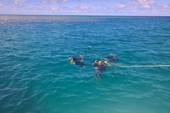 K1024_WP_20161125_13_45_30_Rich