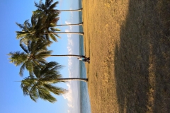 K1024_WP_20161117_17_27_18_Pro