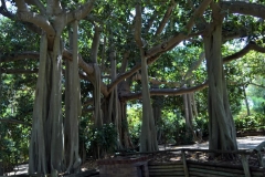 K1024_WP_20161206_09_46_42_Pro