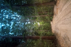 K1024_WP_20161210_12_25_26_Pro