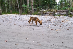 K1024_WP_20161210_14_18_49_Pro