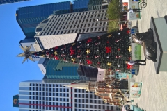 K1024_WP_20161213_12_46_52_Pro